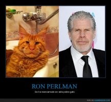 ну и не мог удержаться)