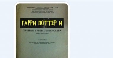 Скрины из соцсетей