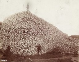 50 редких исторических фотографий, которые врезаются в память