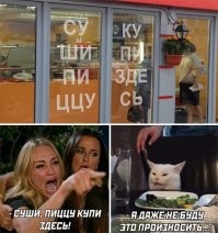 Кот пришел с ночной смены