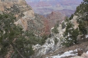 Тоже ездил в Лас Вегас и Гранд Каньон одним разом. Лас Вегас - интересно походить по Стрипу пару дней, потом заскочить на Фремонт и свалить... Я примерно доллар проиграл (в аэропорту).
А Гранд Каньон - это абсолютно чудо, это просто невероятная красота. Попробовал немного спуститься, но дело было под Новый год, тропинка порой ледяная, кошки я не додумался купить (не очень тогда был опытен в походах по льду). Единственная в моей жизни прогулка по горам когда подъем был легче спуска - потому что безопаснее. Сплавать бы еще по реке Колорадо, но это сложно, желающих куда больше чем река позволяет.