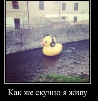Отдых в клубе удался
