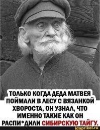 Малоимущим россиянам позволят собирать валежник по-новому