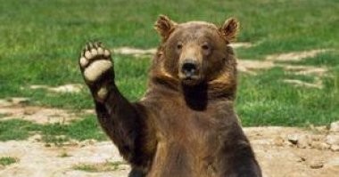 Инста-модели по вызову