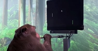 Может чипировать?