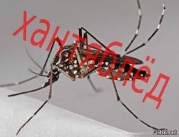Как создавалась ручка, которой пишут космонавты
