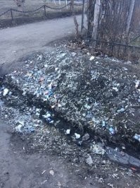 А тут к природе - какие вопросы?! Весна просто показывает вам ВАШУ сучность.