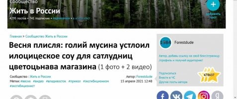 Весня пришла: голый мужчина устроил эротическое шоу для сотрудниц цветочного магазина