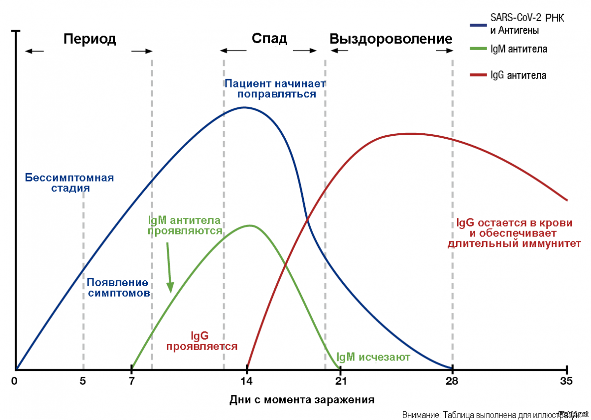 Лечение коронавируса сегодня схема