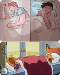 Веселые истории, высказывания, ситуации в жизни, в картинках