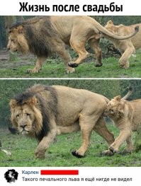 Жена отрывается на муже, муж на детях- классика.