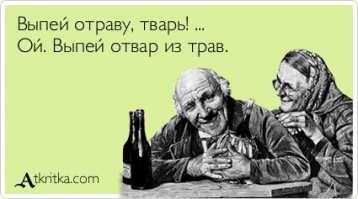 Глава Минздрава Киргизии выпил ядовитый отвар в рамках борьбы с COVID-19