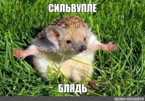 Шутки, которые поймут только люди, не состоящие в отношениях