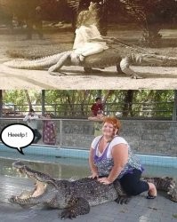 "А каково крокодилу??!!" 

Раньше, ещё нормально было...