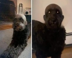 Ничего непонятно. Но страшно
