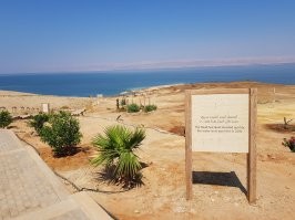 Как изменилась нашла планета с 1984 по 2020 год