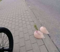 не благодари