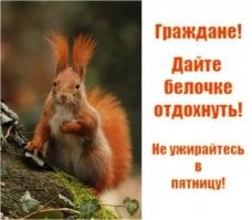Весеннее обострение во всей красе