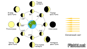 Смена фаз. Полный цикл смены фаз Луны. Таблица смена лунных фаз. Циклы Луны схема. Смена фаз Луны рисунок.