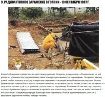 В Бразилии однажды так и случилось. Правда там был не плутоний, а соль цезия-137, но от этого никому не легче.