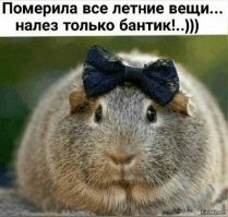 Веселые истории о нас, продолжение!