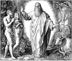 А вот как все было: Бог слепил Адама из глины, вдохнул в него искру жизни. Потом увидел, что бедный Адам скучает в одиночестве, и сделал ему Еву из его же ребра. Чтобы она его держала в тонусе и не давала расслаблятся. На эту тему за последние 2000 лет тысячи попов-богословов защитили докторские диссертации и все обсосали до малейших деталей. Как говорит главпоп Гундяй: "Дарвин с его обезьянами идет лесом, в смысле, в джунгли. Не надо нам его бесовского учения."