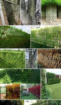 Одна на миллион?
Да ладно?
Все Яндекс картинки забиты подобными фотками.

Забор
Лысина
Белая ворона