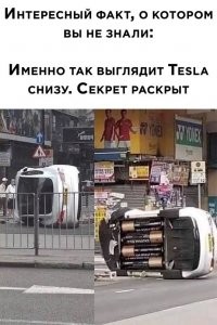 Как облапошить мошенников и другие полезные и бесполезные советы от сетевых умельцев и философов