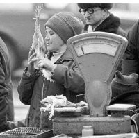Специально нашла фотку с СССРовских времен про "достаток". Совкодрочеры, иожете минусить, но это факт, что я отлично помню то время и помню например, тех несчастных худющих синюшный куриц, умерших своей смертью, за которых люди глотки готовы были поразгрызать друг другу в очередях. "Достать" их было так же трудно. Помню кучу всего мрачного, темного из той эпохи, т.к. уже не была ребенком с розово-ванильными соплями и фантазиями. Держите пример тех куриц. Только такие я видела за всю эпоху СССР. Видимо, потому что не жила возле Москвы, Ленинграда и т.д. больших рос. городов, куда всё хорошее "укатывалось"... И ведь люди и я даже этому пздцу радовались...