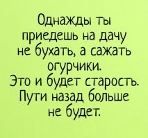 Что российские женщины делали на дачах в эти выходные