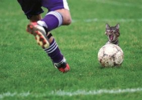 Смешные комментарии из соц.сетей