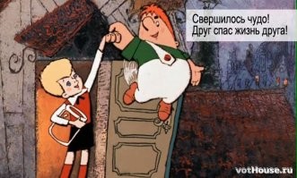 Стаффордширский терьер спас шпица от утопления в бассейне