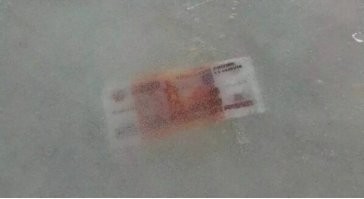 Не, за это только попинать. 

Убивать, если так будет: