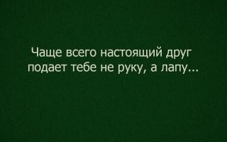 Веселые истории о нас