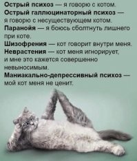 Весёлые истории о нас, очередной выпуск
