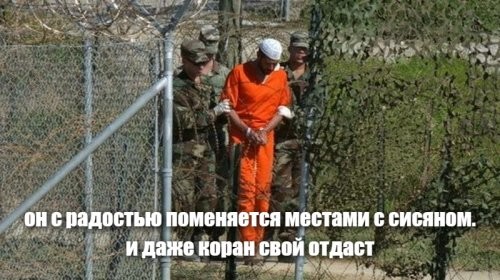 Полит стеб и другое