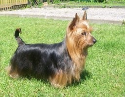 Вот она — любовь