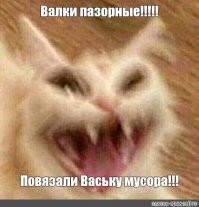В Панаме "задержали" кота, который пытался пронести наркотики в тюрьму