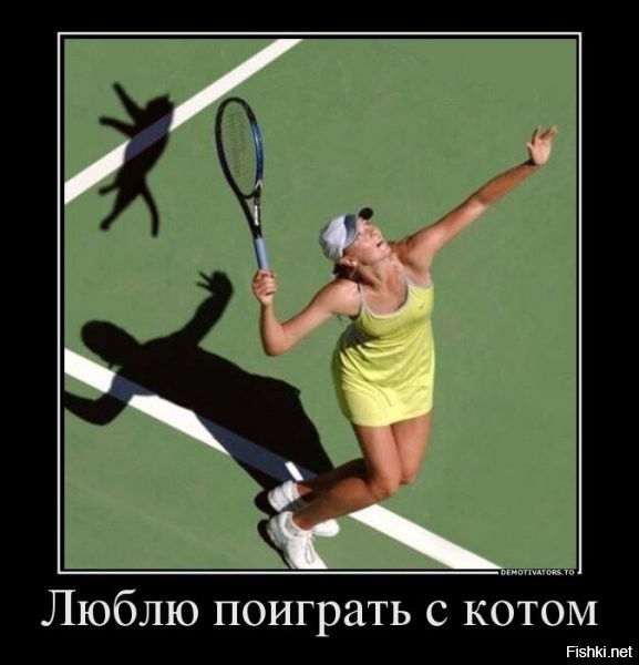 Извини, диз. 
За одну-единственную картинку.
За вот эту: