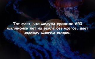 Авария дня. Снежный апрель в Воркуте