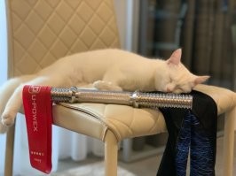 у меня половина фото в телефоне- дочка, половина- наша кошка ( в свое время из приюта котенком забрали)