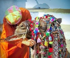 Ford Mustang в стиле блокбастера «Аватар» победил на тюнинг-шоу в Дубае