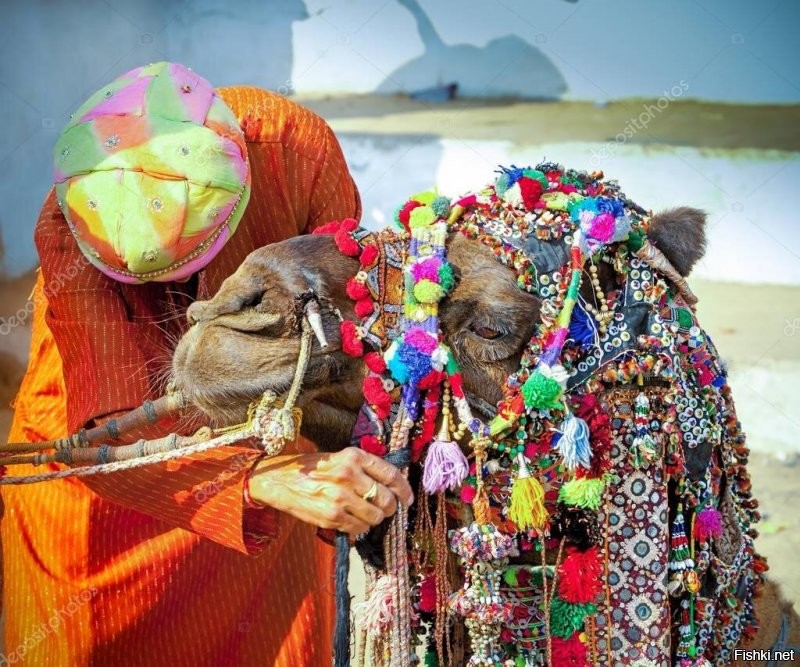 Ford Mustang в стиле блокбастера «Аватар» победил на тюнинг-шоу в Дубае