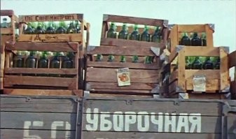 Как морозы уничтожили виноградники во Франции