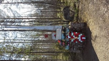 Ну русско-финская война сама по себе была довольно кровавой. По официальной статистике советских войск тогда полегло в 10 раз больше чем финнов. Хоть и финны были тогда на стороне Оси, они по сей день крайне уважительно относятся к памятникам и монументам советскому солдату.

Мемориал «Ко лласъярви», Суоярвский район