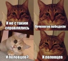 Смешные мемы с котами, которые поднимут вам настроение