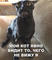 Почему мы видим призраков: 12 научных теорий