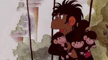 Финалисты The Comedy Wildlife Photography Awards 2020