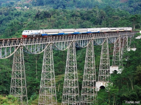 10 самых опасных и захватывающих мостов со всего мира