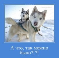 Намешалось